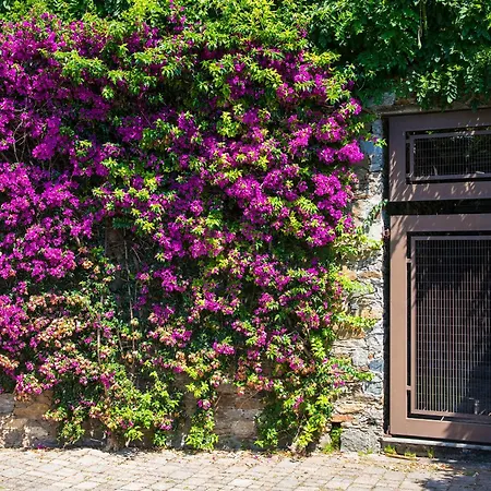 Nocleg ze śniadaniem Renalu 4*