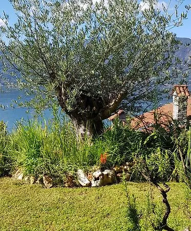 Renalu 4* Verbania