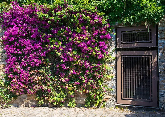 Bed and Breakfast Renalu 4*